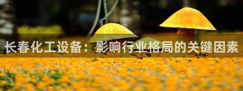 美狮会平台上的钱能取出来吗