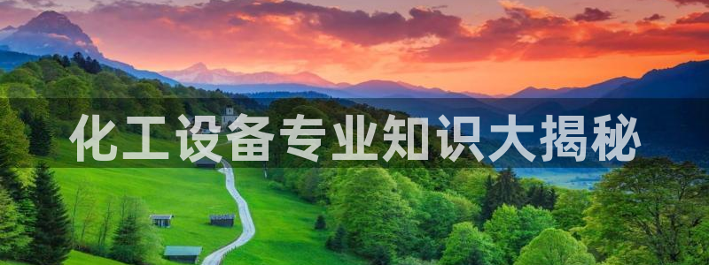 美国美狮集团