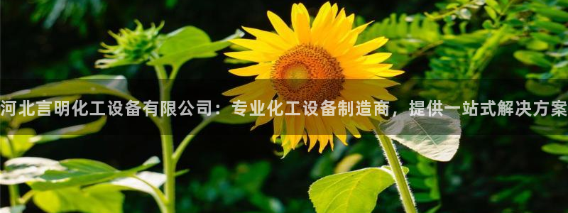 美狮贵宾会会员等级怎么看