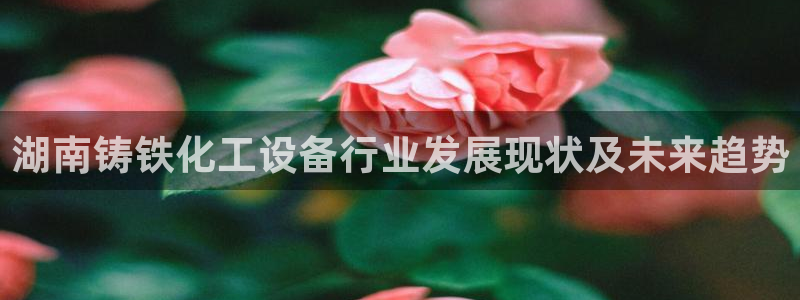 美狮集团有限公司