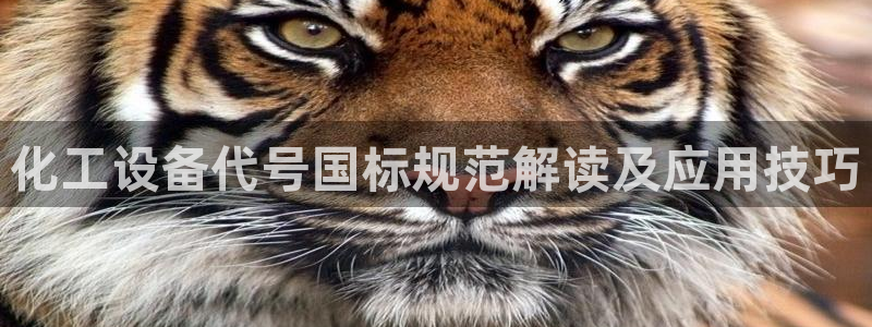 美狮是什么