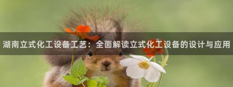 美狮外汇最新消息