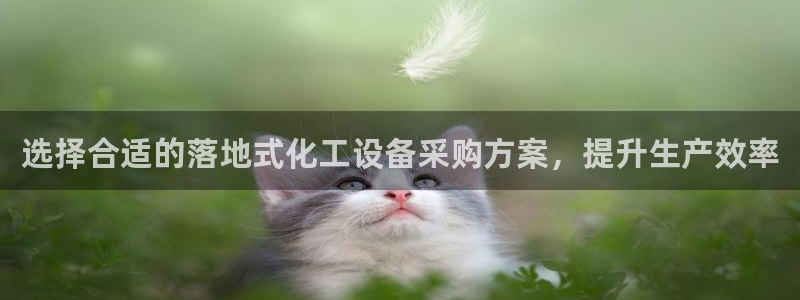 美狮贵宾会代理