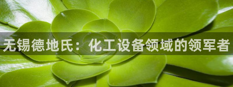 美国美狮集团