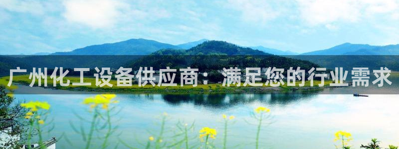 美狮国际控股集团