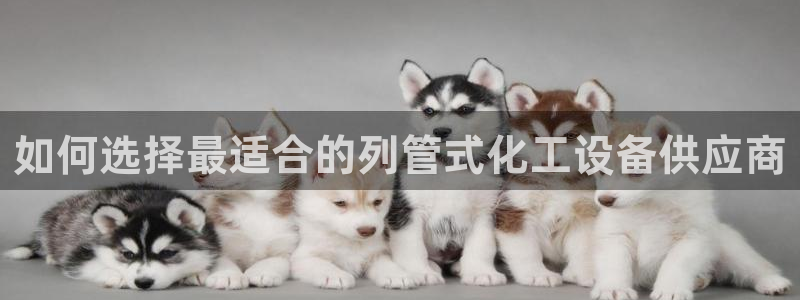 美狮贵宾会输了几万