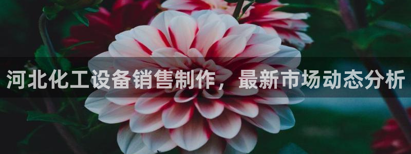 美狮会套利是真的吗知乎