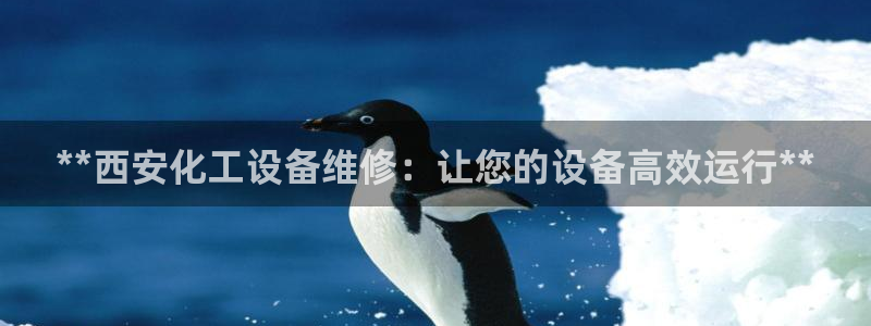 美狮会犯法吗