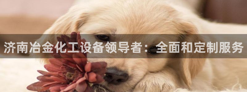 美狮贵宾会介绍人添什么