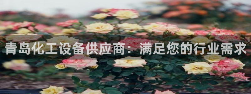 美狮传媒集团简介