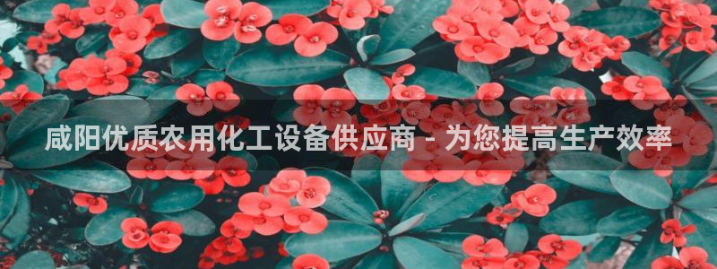 美狮会员卡等级怎么划分