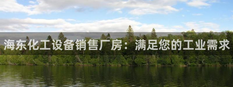 美国美狮集团