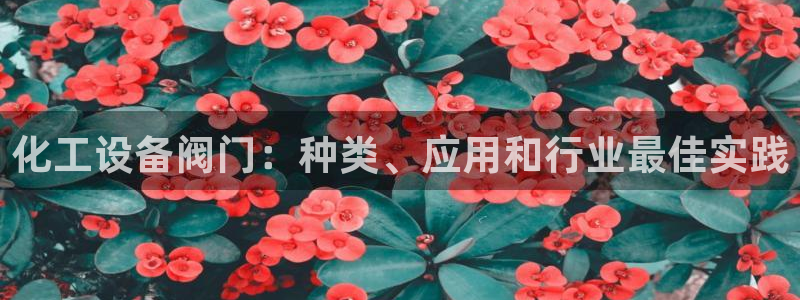 美狮会员卡