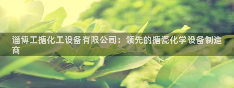 美狮贵宾会网址是什么