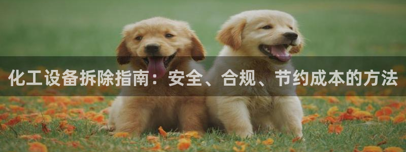 美狮会赚钱平台是骗局吗知乎