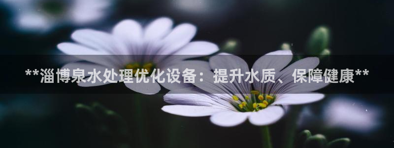 美狮贵宾会常见问题解答
