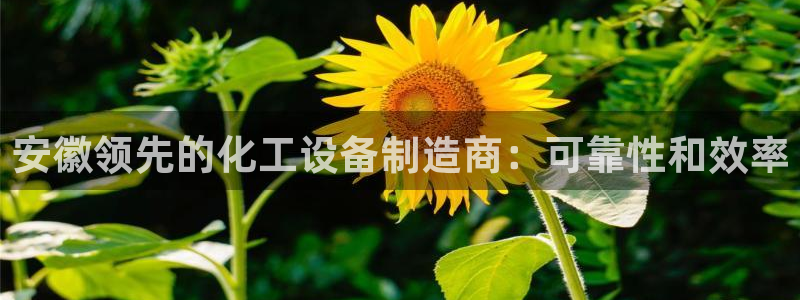 美狮会是什么平台