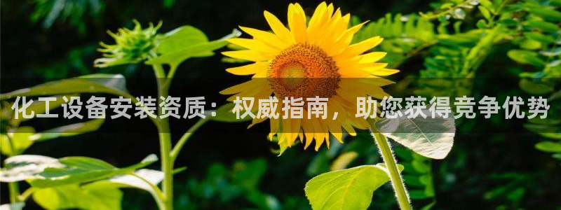 美狮贵宾会怎么不到了