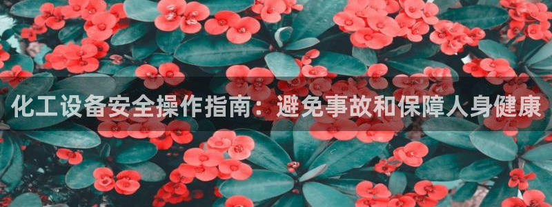 美狮贵宾会0925511