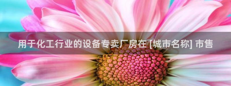 美狮贵宾会官网网址
