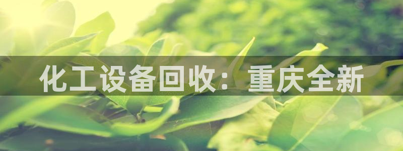 美狮贵宾有人赢过吗