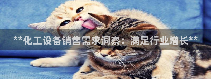 美狮会员卡等级有什么用