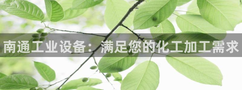 美狮传媒集团有限公司怎么样