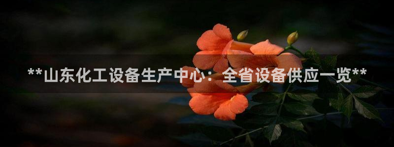 美狮贵宾厅