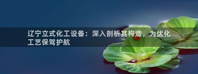 美狮科技