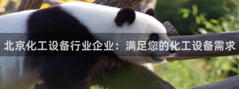 美狮科技