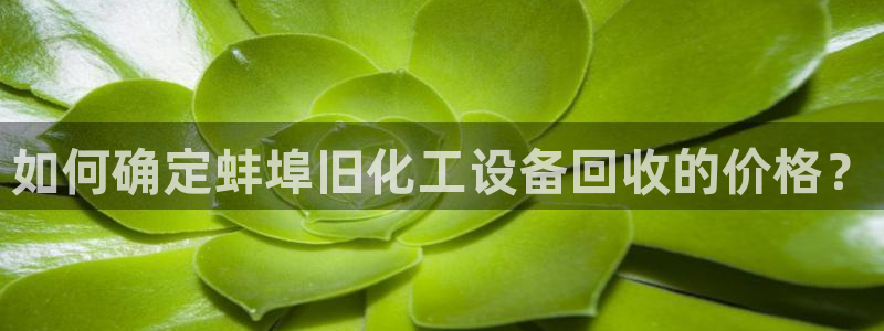 美狮会是正规平台吗是真的吗