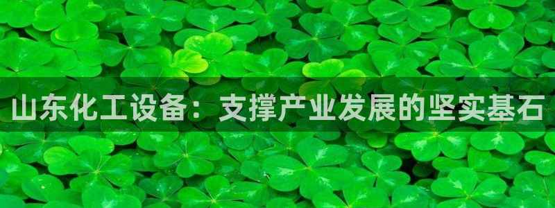 美狮会员卡等级怎么看的