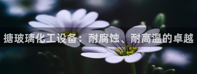 美狮贵宾厅