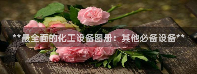 美狮贵宾会安全吗