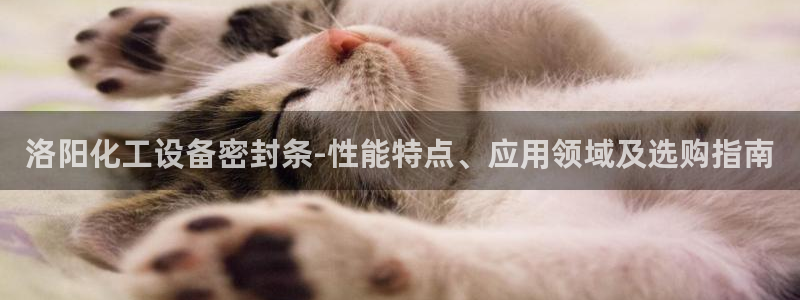 美狮充值中心官网