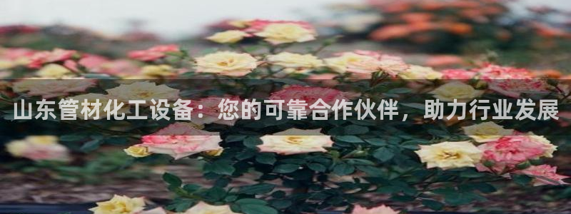 美狮贵宾会是什么东西