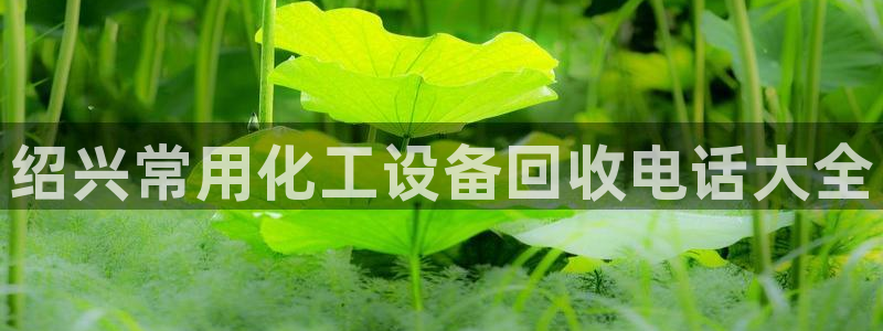美狮会员入口