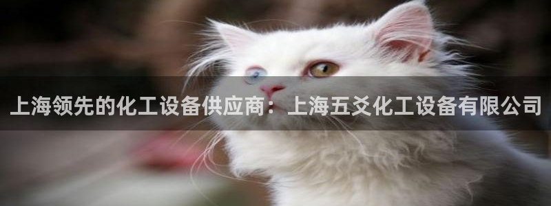 美狮贵宾会会员等级怎么看