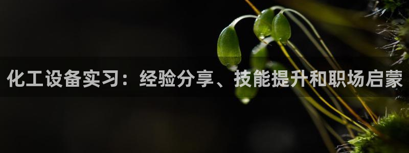 美狮科技有限公司