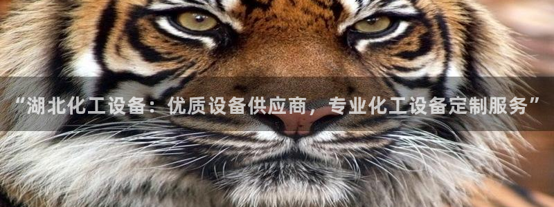 美狮会员卡等级怎么分