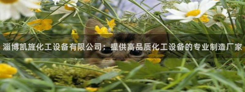 美狮会是正规平台吗?