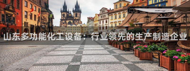美狮集团有限公司
