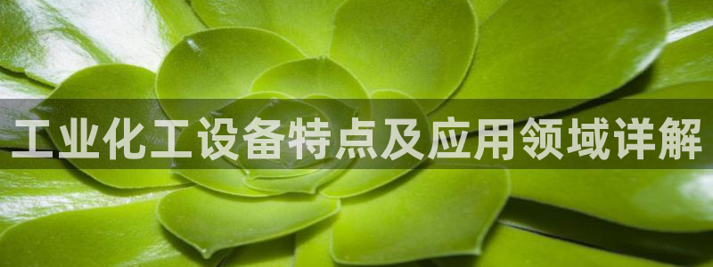美狮充值中心