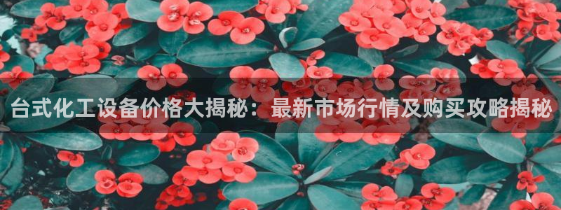 美狮贵宾会快充值中心