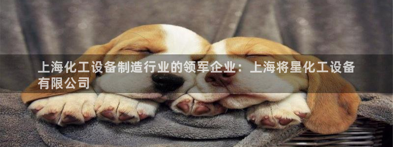美狮传媒集团有限公司怎么样