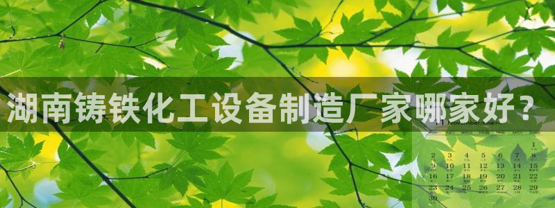 美狮官网