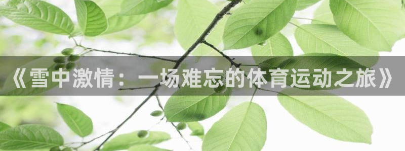 oety欧亿：《雪中激情：一场难忘的体育运动之旅》