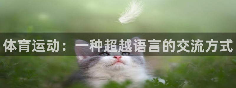 oety欧亿：体育运动：一种超越语言的交流方式