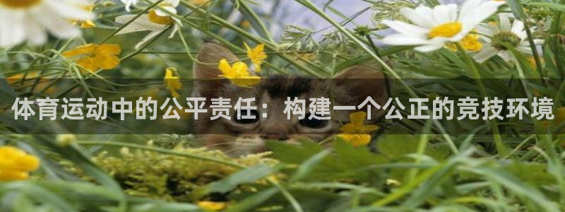oety欧亿：体育运动中的公平责任：构建一个公正的竞技环境