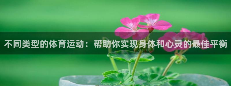 oety欧亿：不同类型的体育运动：帮助你实现身体和心灵的最佳平衡